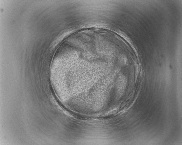 X0000054440577200508191613