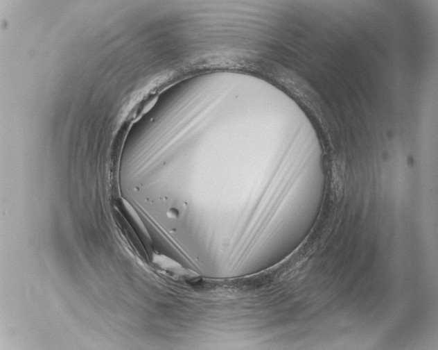 X0000054440578200508191613