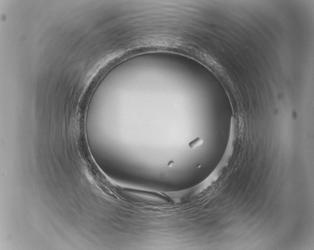 X0000054440580200508191613