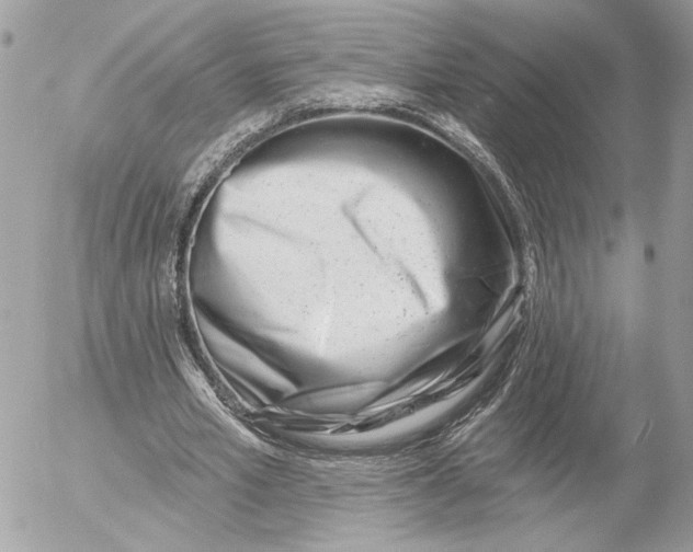 X0000054440581200508191613