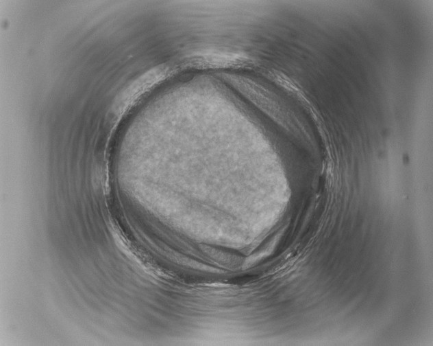 X0000054440582200508191613