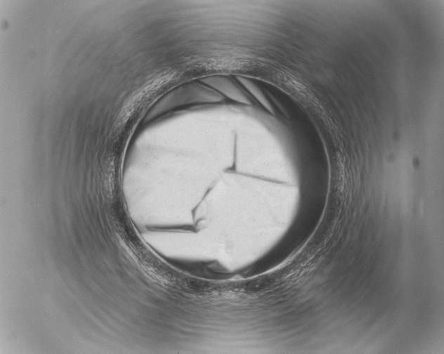 X0000054440586200508191613