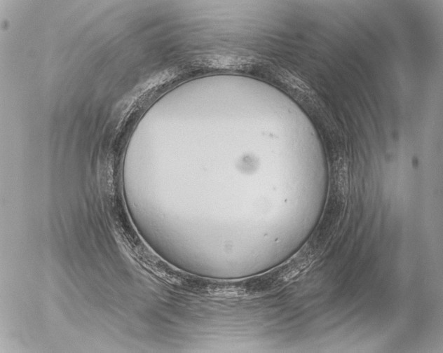 X0000054440587200508191613