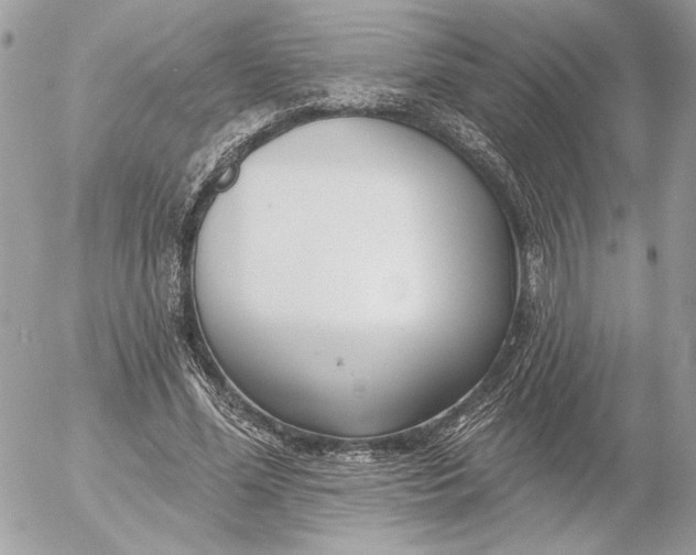 X0000054440588200508191613