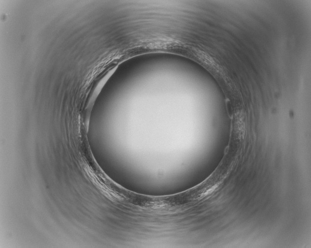 X0000054440589200508191613