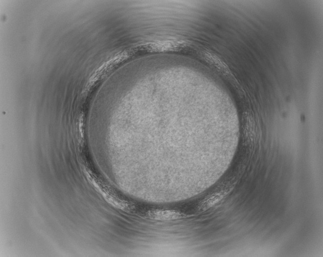 X0000054440590200508191613