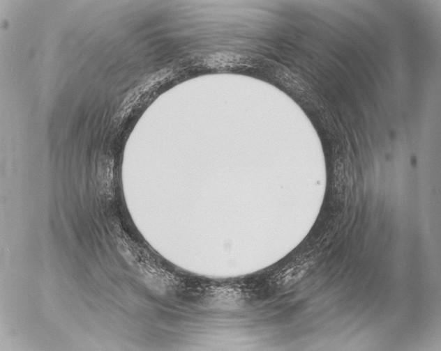 X0000054440592200508191613