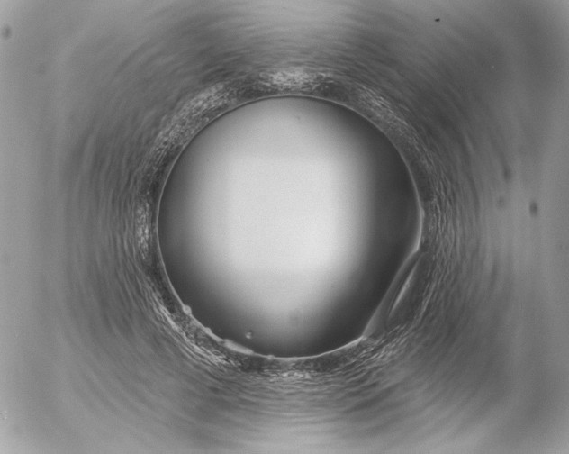 X0000054440593200508191613