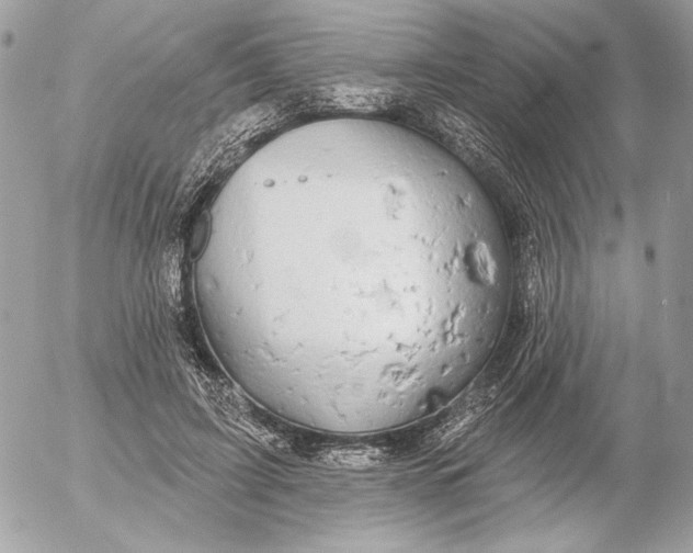 X0000054440595200508191613