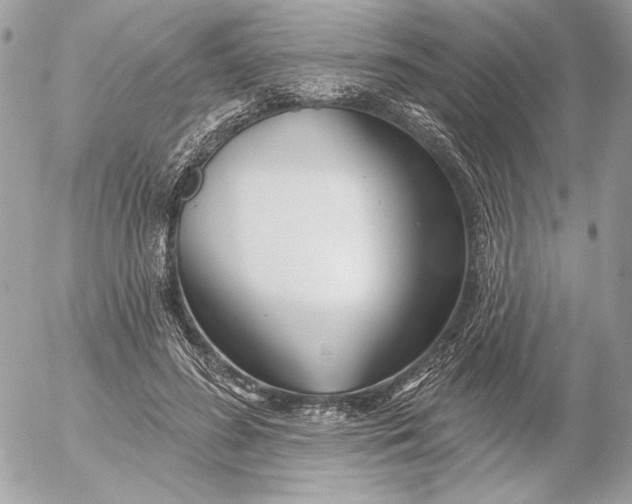 X0000054440596200508191613