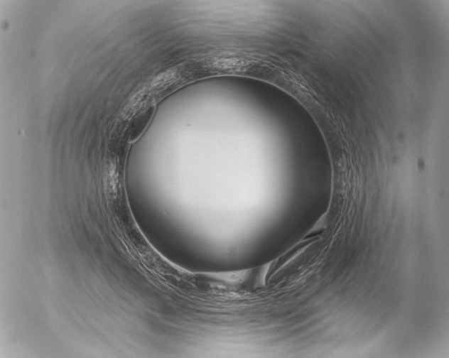 X0000054440597200508191613