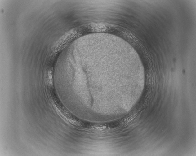 X0000054440598200508191613