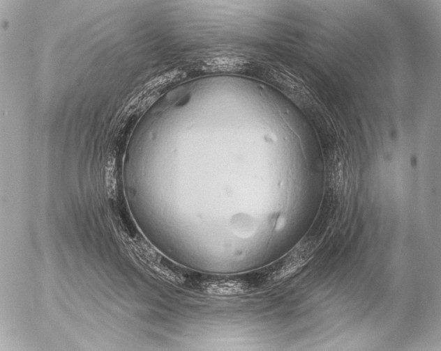 X0000054440599200508191613