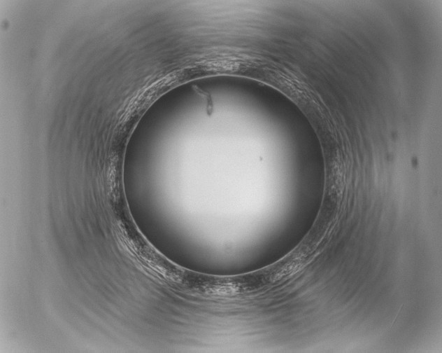 X0000054440600200508191613