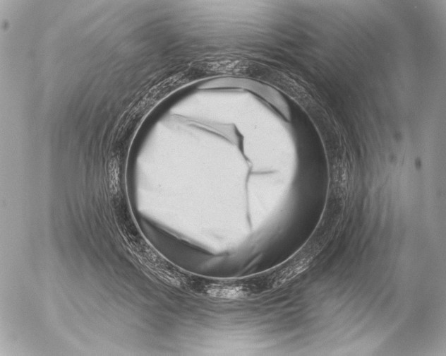 X0000054440602200508191613