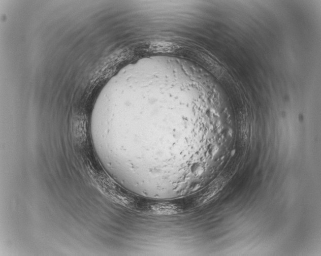 X0000054440603200508191613