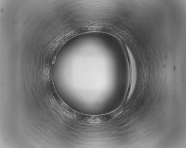 X0000054440604200508191613