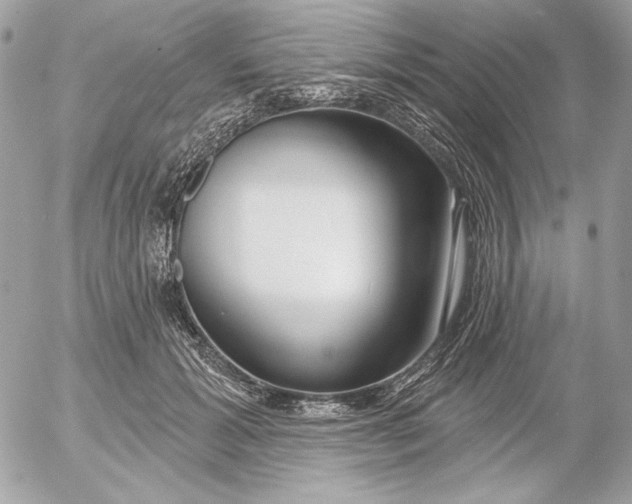 X0000054440605200508191613