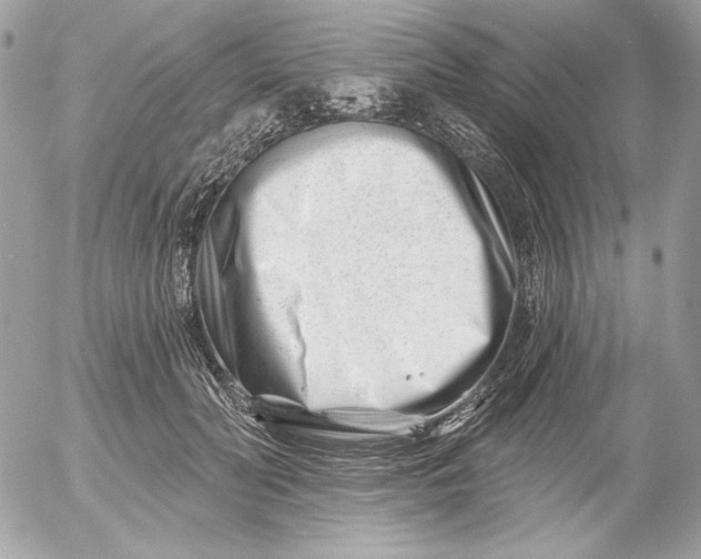 X0000054440606200508191613