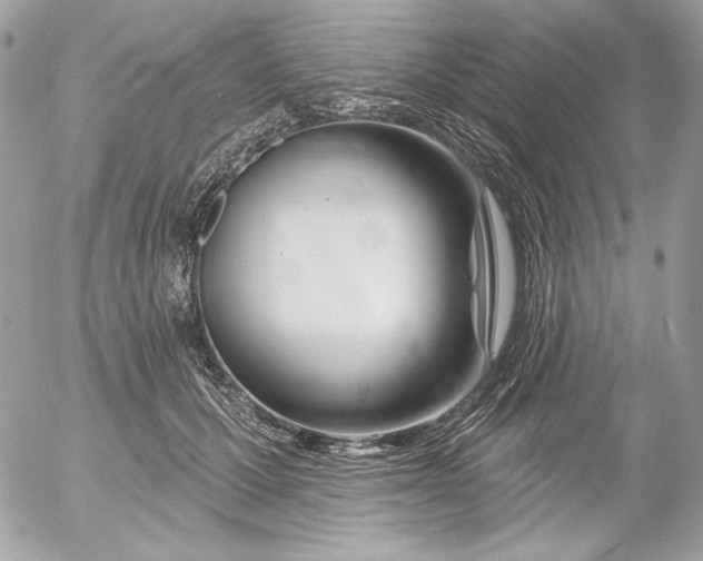 X0000054440607200508191613