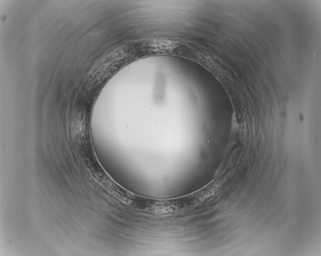 X0000054440608200508191613