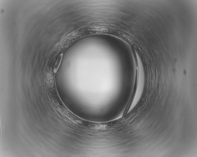 X0000054440609200508191613