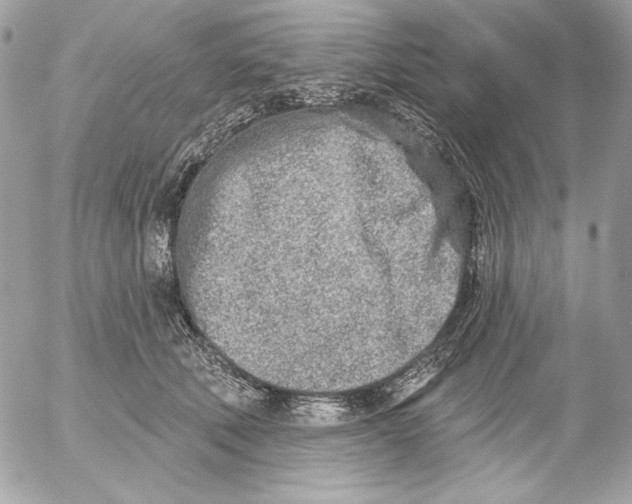 X0000054440610200508191613