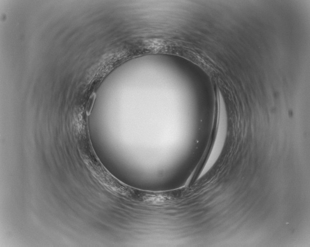 X0000054440611200508191613