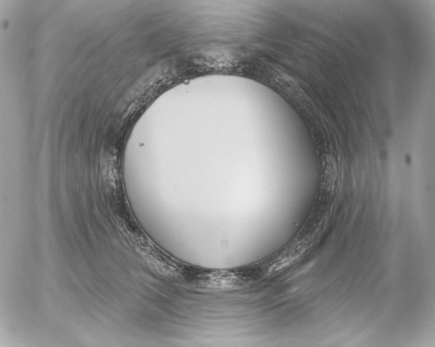 X0000054440612200508191613