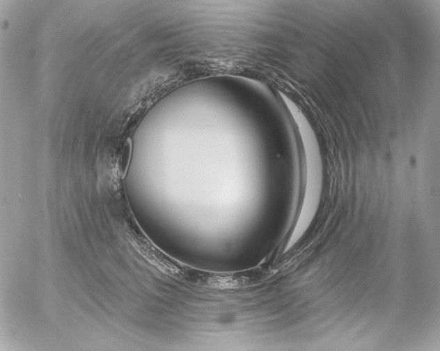 X0000054440613200508191613