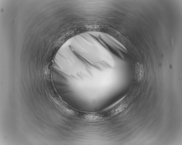 X0000054440614200508191613