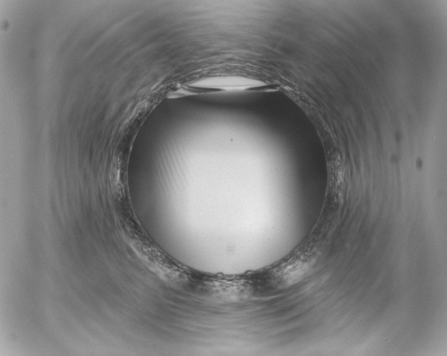 X0000054440615200508191613