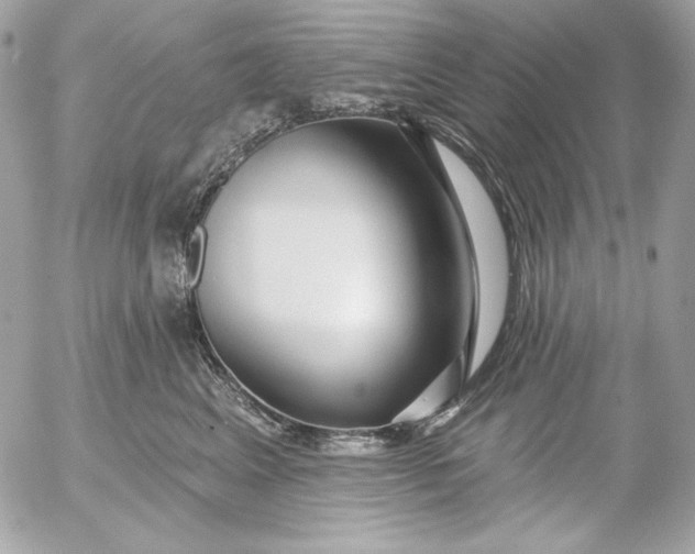 X0000054440617200508191613