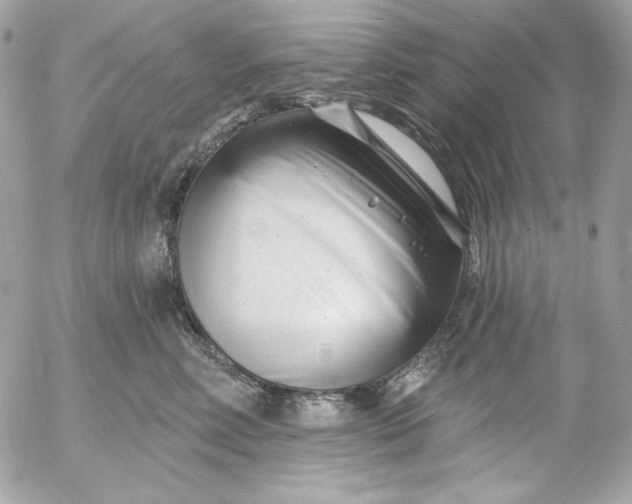 X0000054440618200508191613