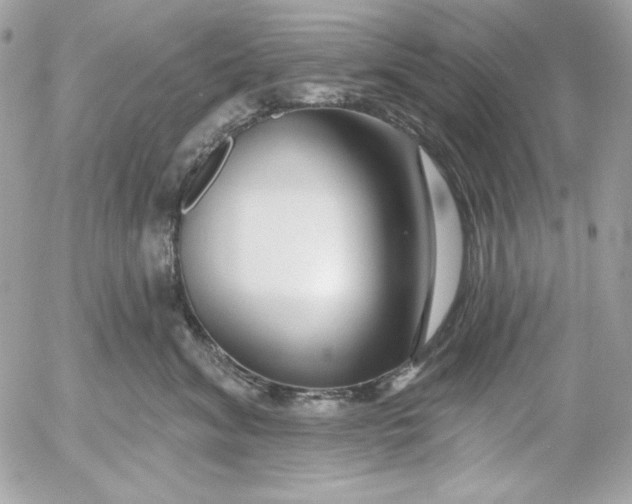 X0000054440620200508191613