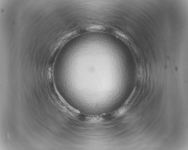 X0000054440621200508191613