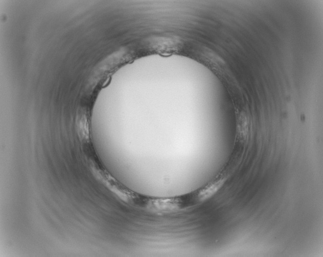 X0000054440622200508191613