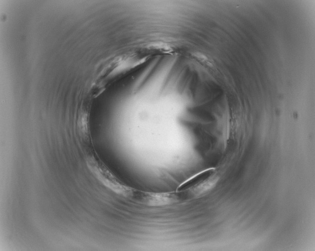 X0000054440623200508191613