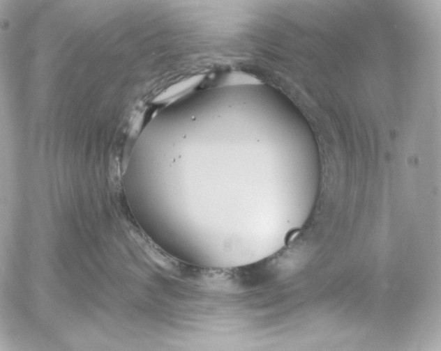 X0000054440624200508191613