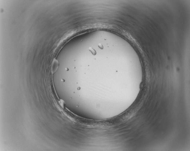 X0000054440625200508191612