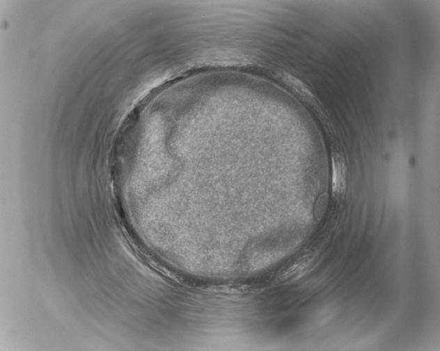 X0000054440627200508191612