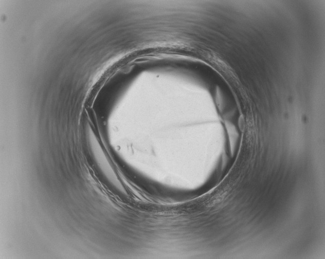 X0000054440628200508191612