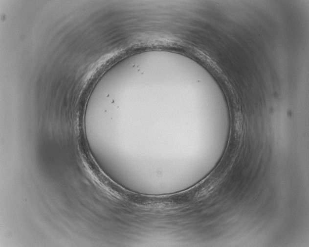 X0000054440629200508191612