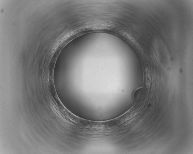 X0000054440631200508191612