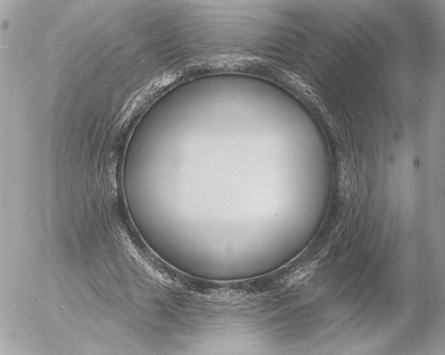 X0000054440633200508191612