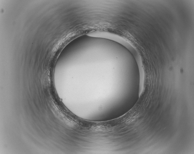 X0000054440634200508191612