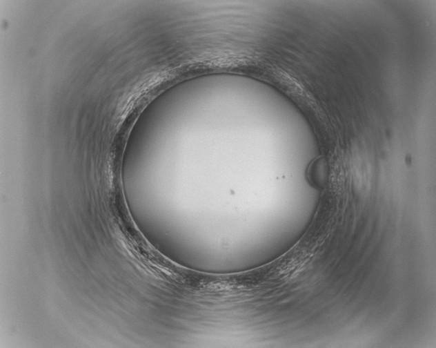 X0000054440635200508191612