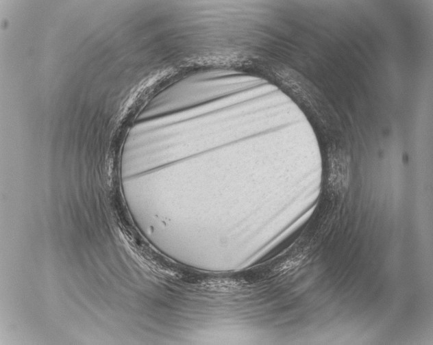 X0000054440636200508191612