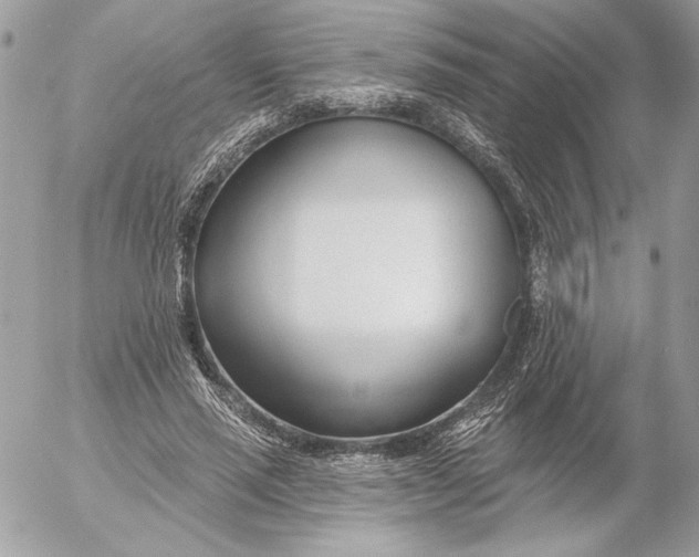 X0000054440637200508191612