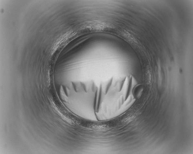 X0000054440638200508191612